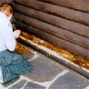 Log House - Wet Rot Repair