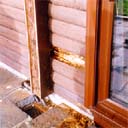 Wet Rot in Logs