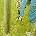 Drilling an electricity Pole ready for insertion of Boron rods and boron paste.