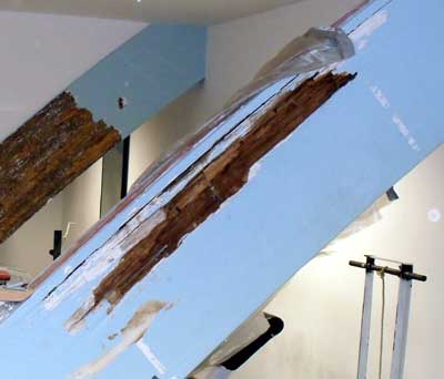 Wet rot damage in Glulam beams in a Gym