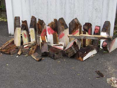 Wet Rotted rafter ends cut out of a roof