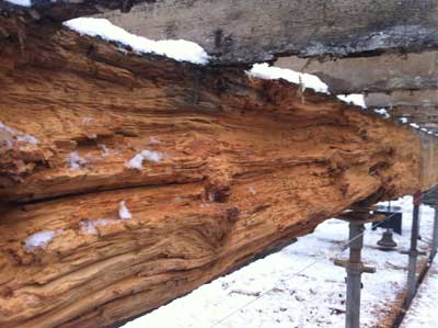 Beam attacked by Wet Rot and wood boring Weevil